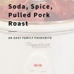 slow cooker pulled pork pin