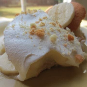 Close up view of finished pudding on plate.