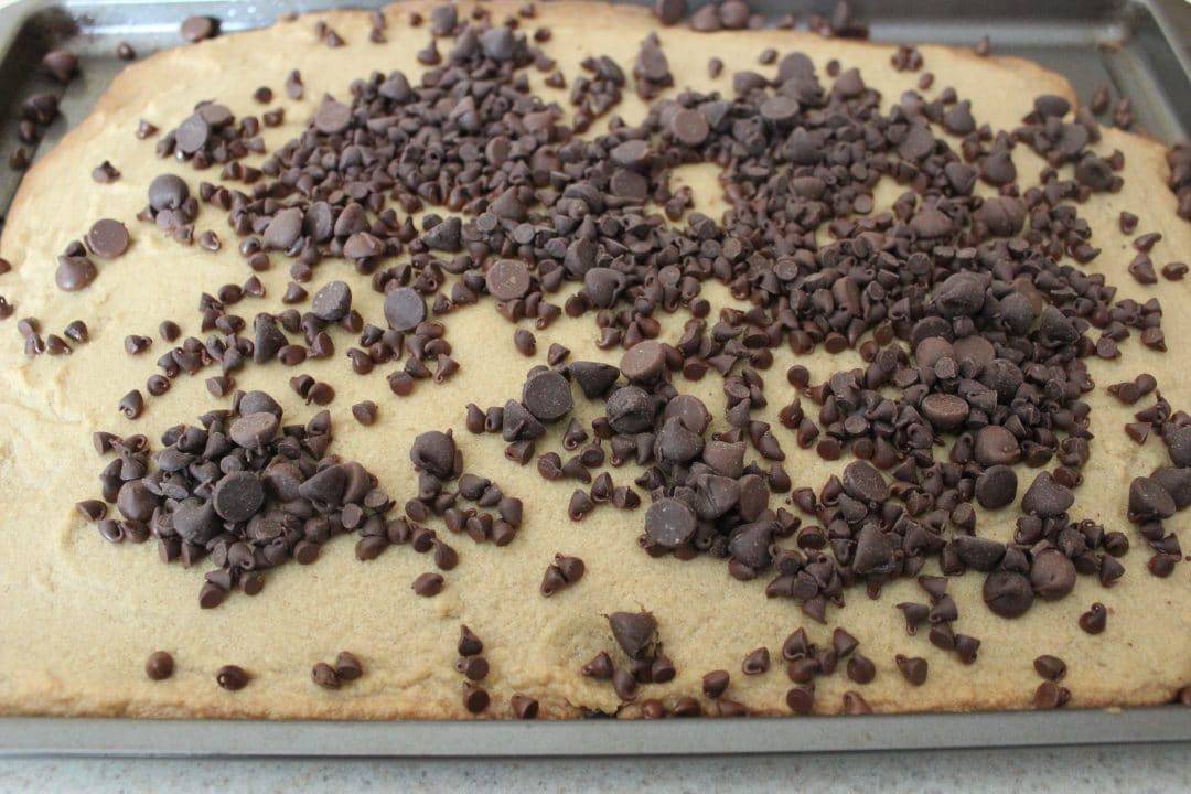 baked cookie mixture topped with chocolate chips 