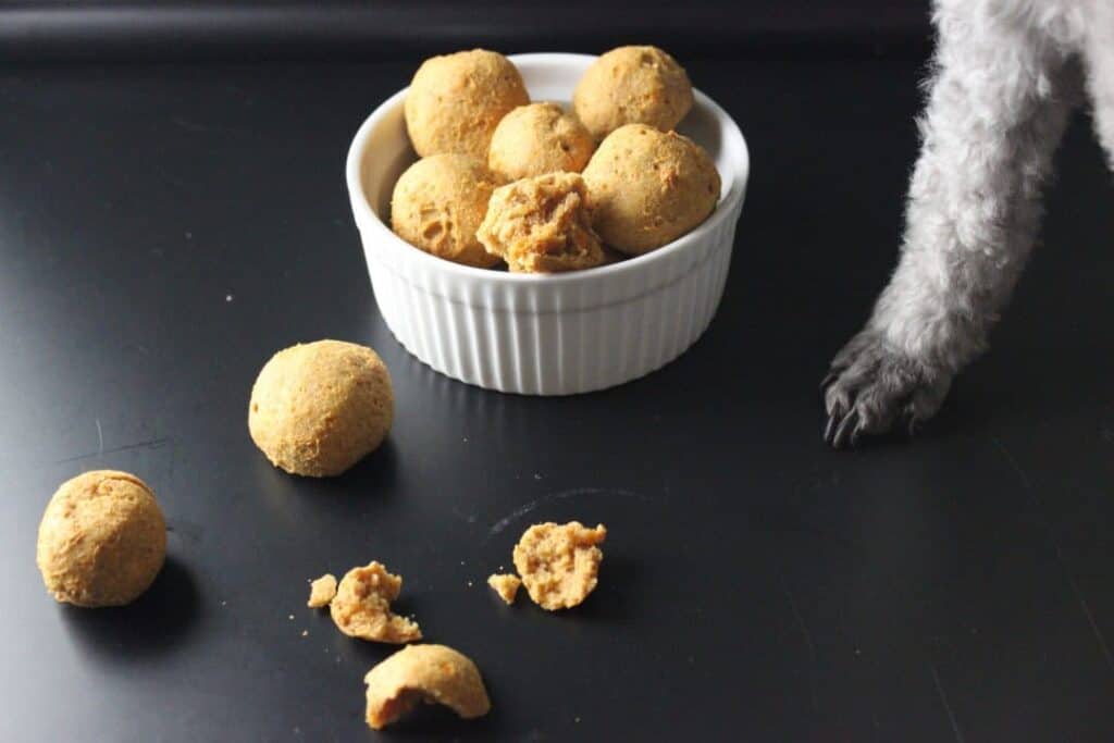 dog treats in white bowl 