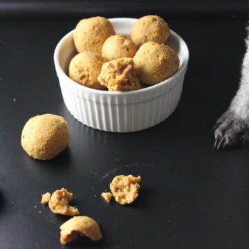 dog treats in white bowl