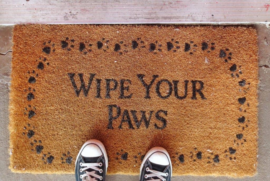 Pay it Forward - Kitty Kottage