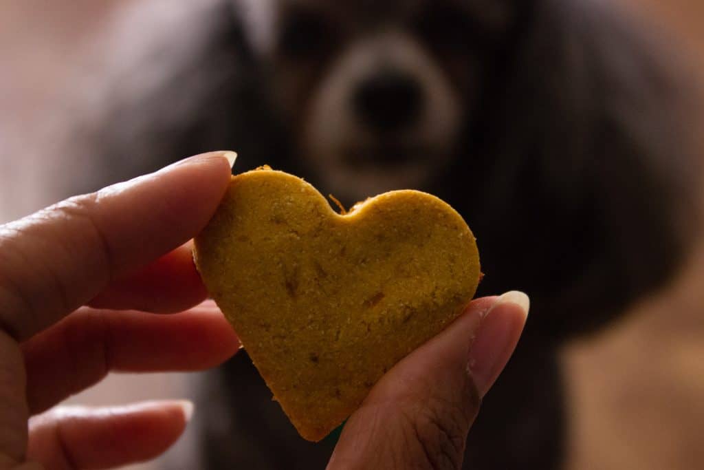 close up of hand holding heart shaped dog treat with dog in the background