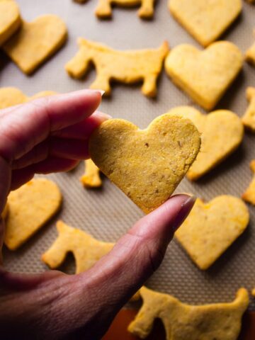 hand holding heart shaped dog treat