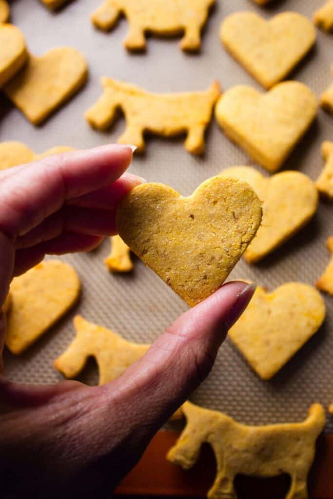 hand holding heart shaped dog treat