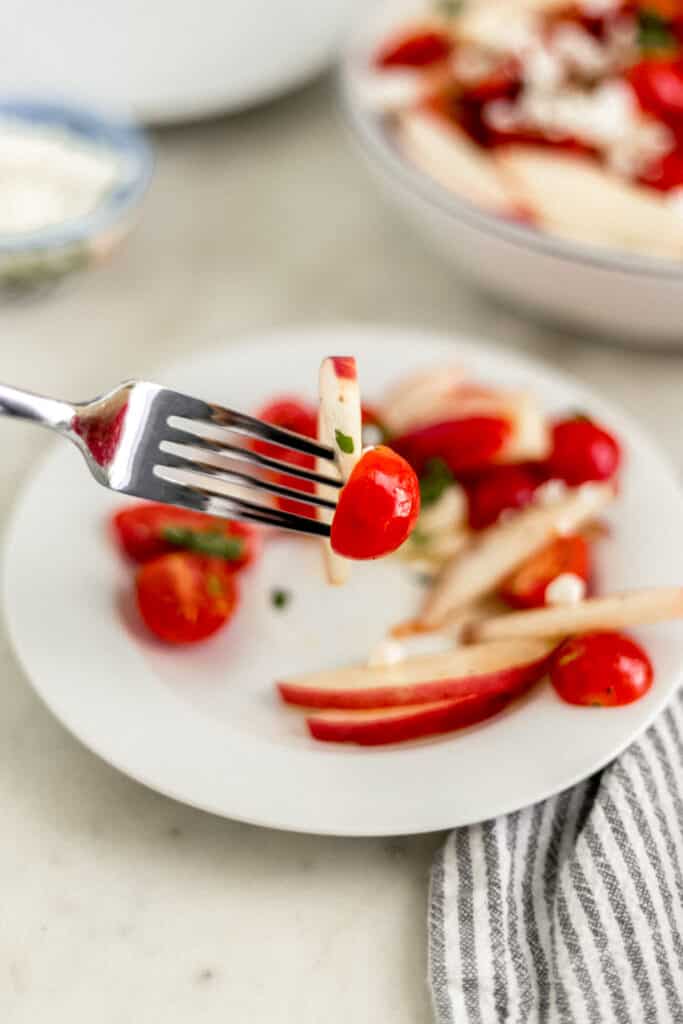 hand holding fork with tomato peach salad on it over plate 