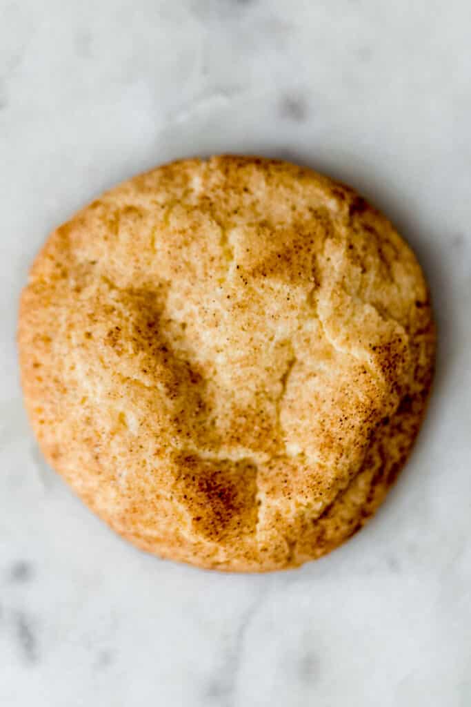 single baked snickerdoodle cookie