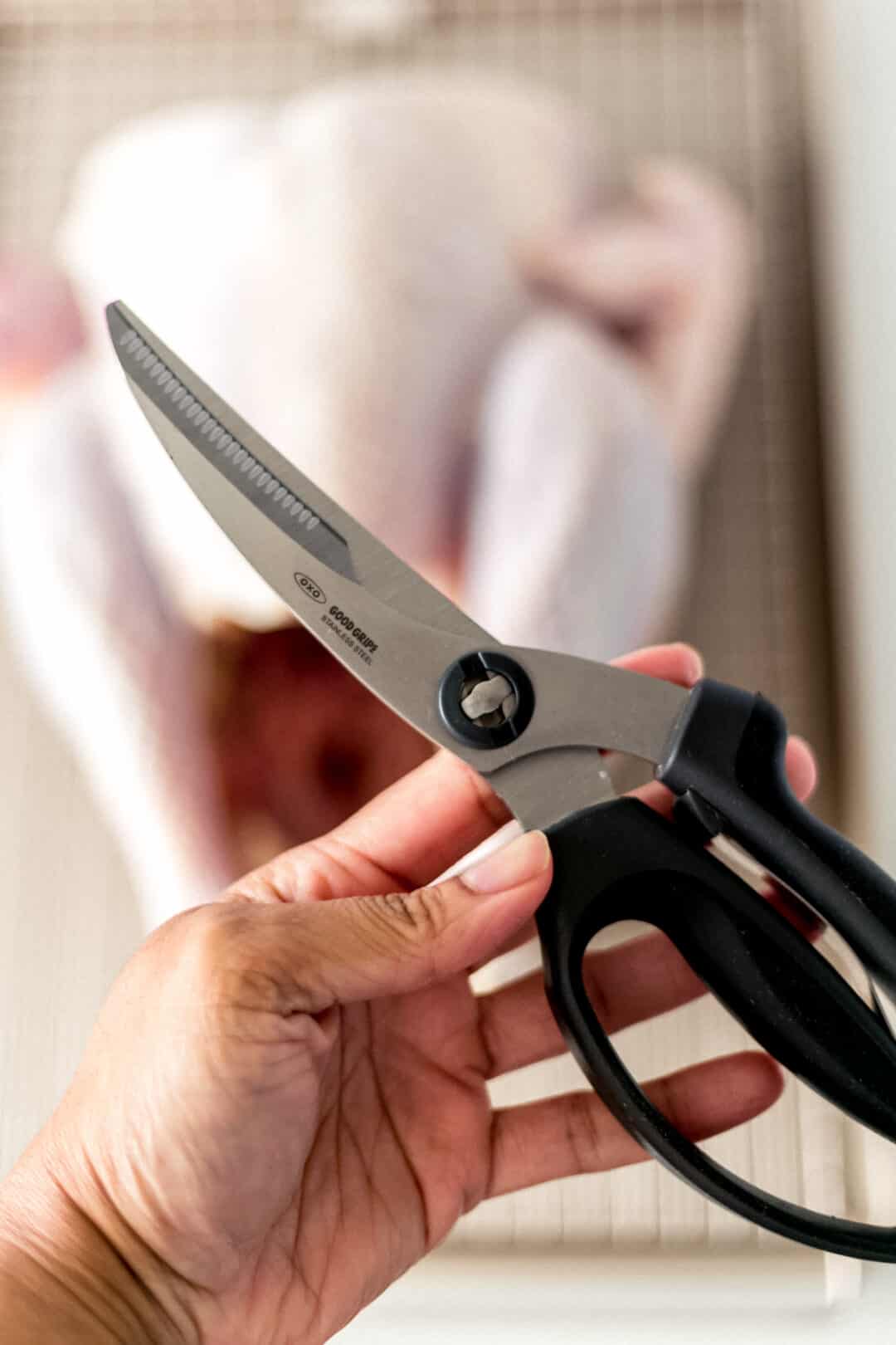 hand holding a pair of poultry shears in front of raw turkey