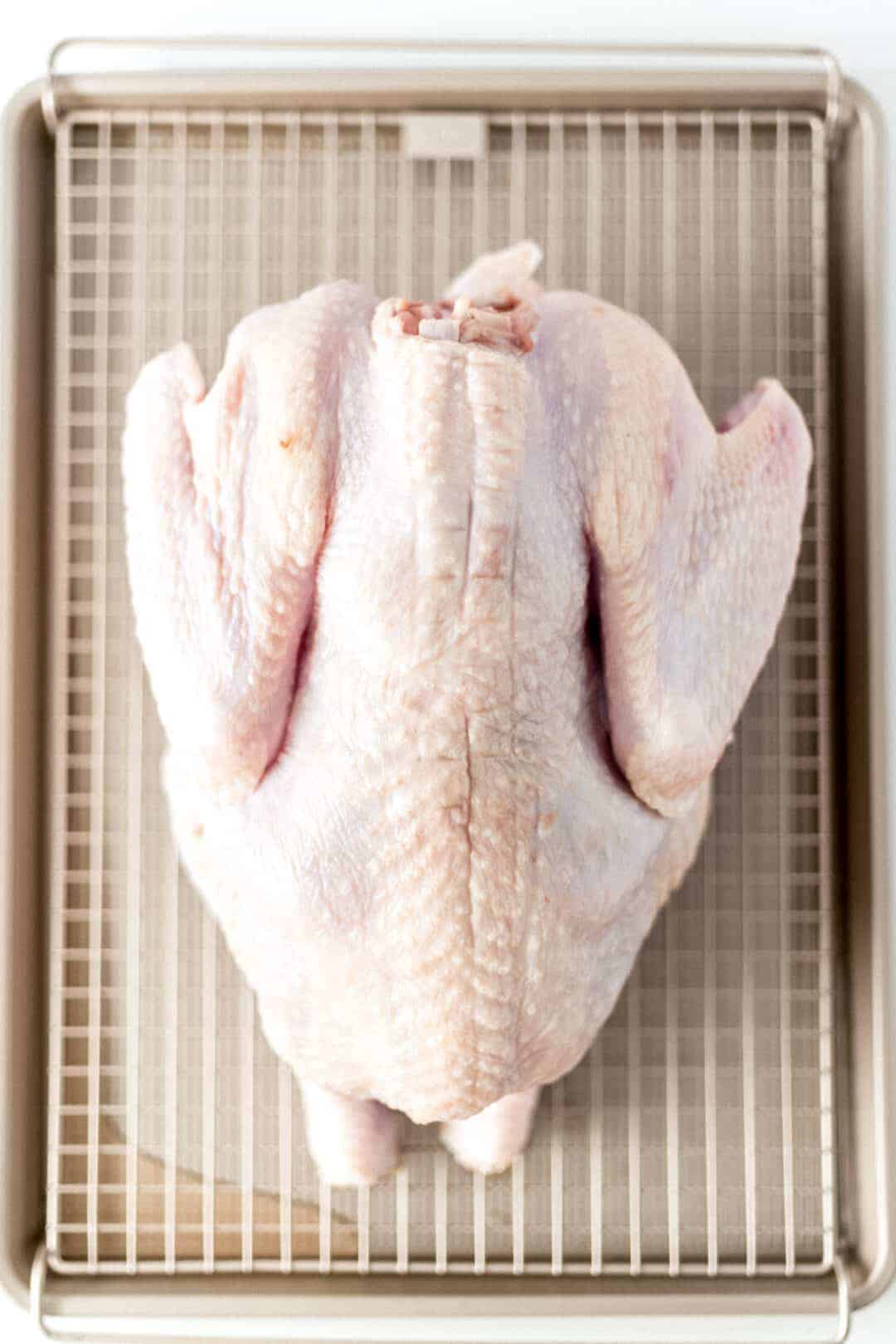 raw turkey on large baking sheet 