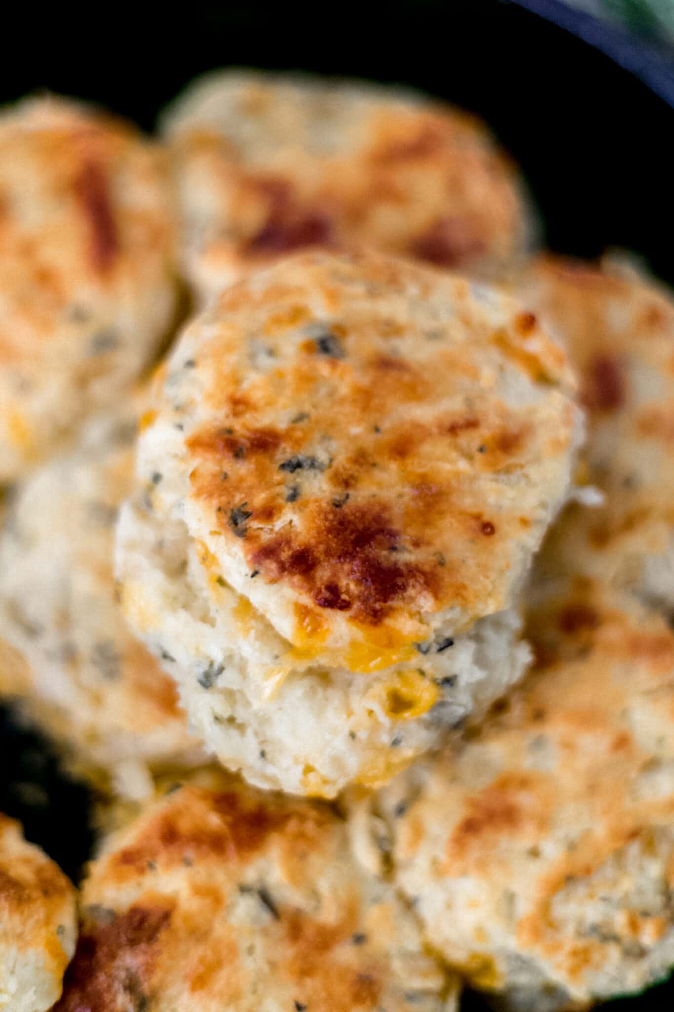 close up view cooked cheddar herb biscuits in cast iron skillet