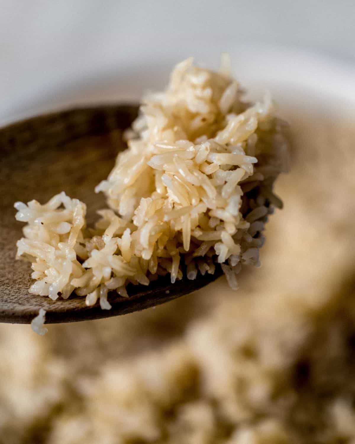 Close up view of wooden spoon with rice on it. 