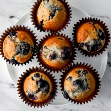 Overhead view of six muffins on white plate.