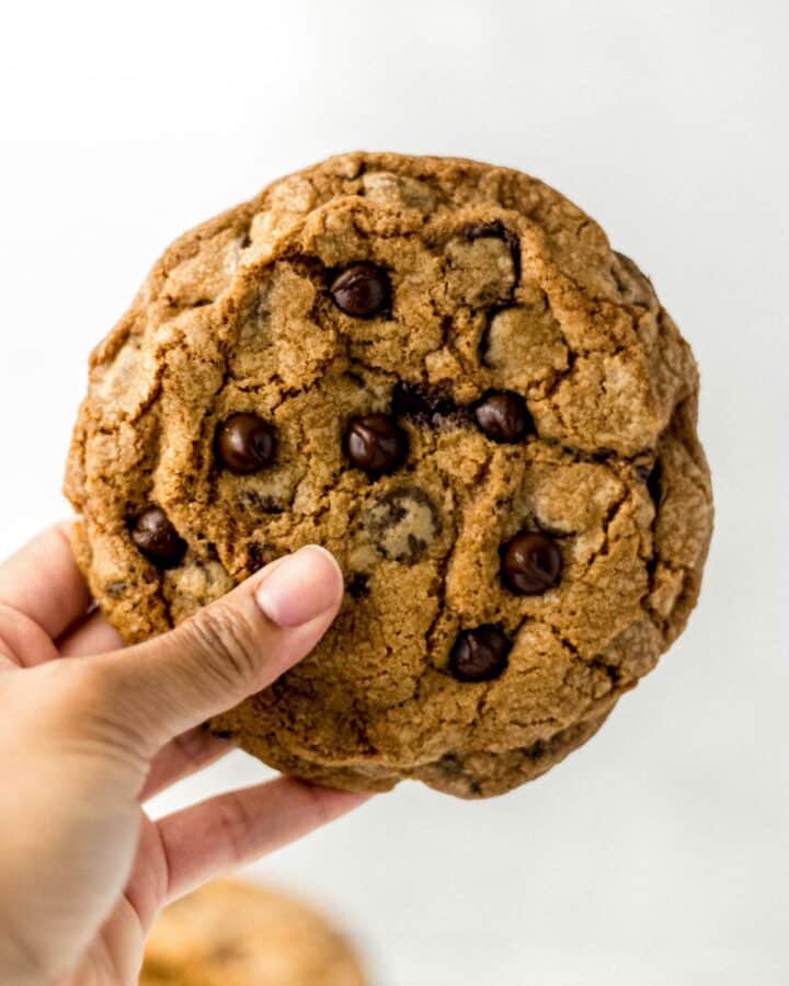 Hand holding single cookie.
