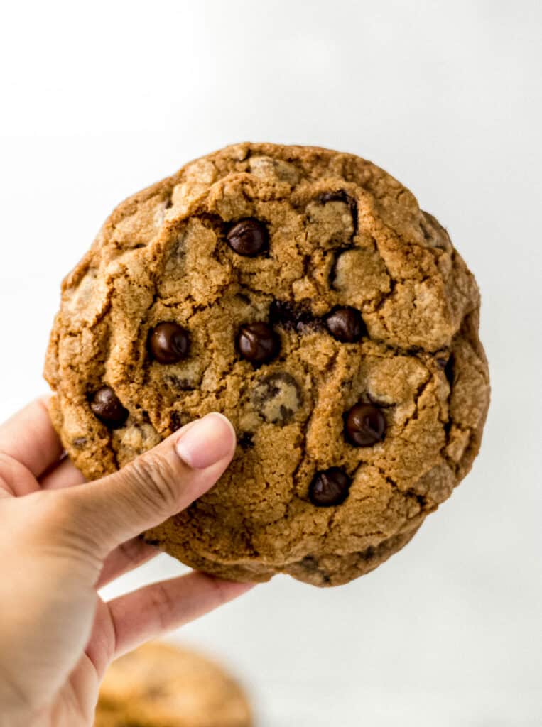 hand holding large chocolate chip cookie