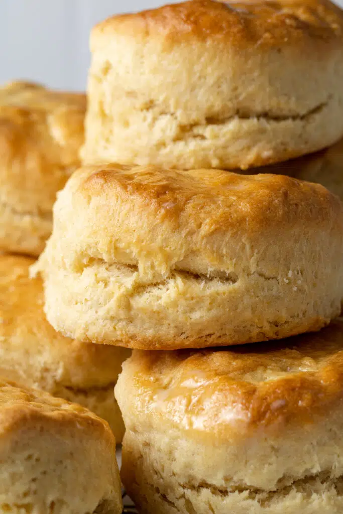 stack of homemade biscuits