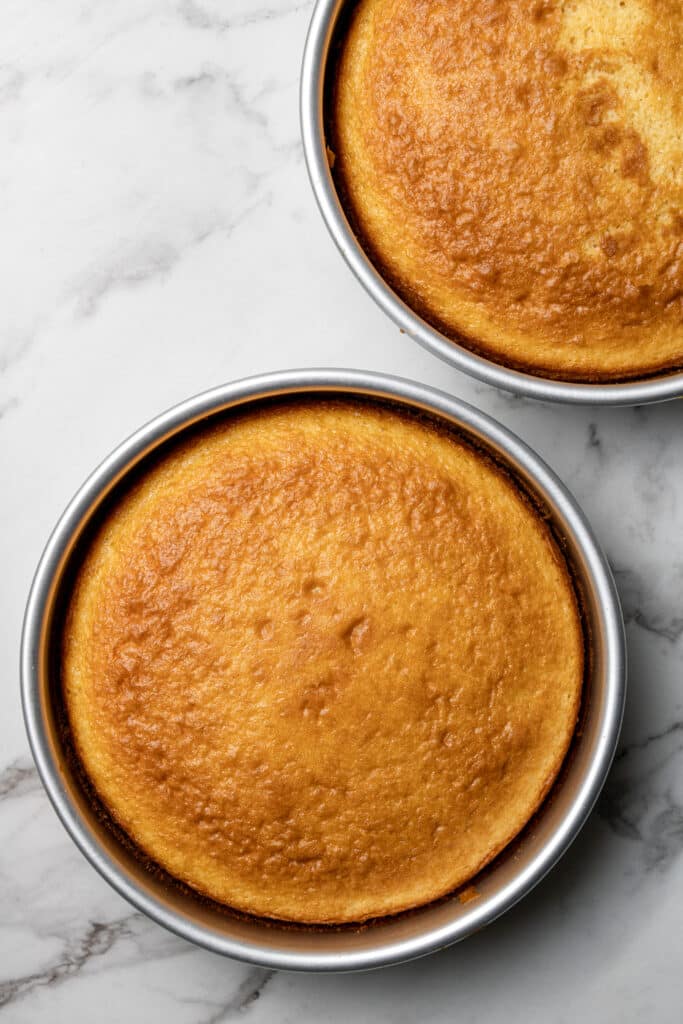 finished yellow cake in two round baking pans 