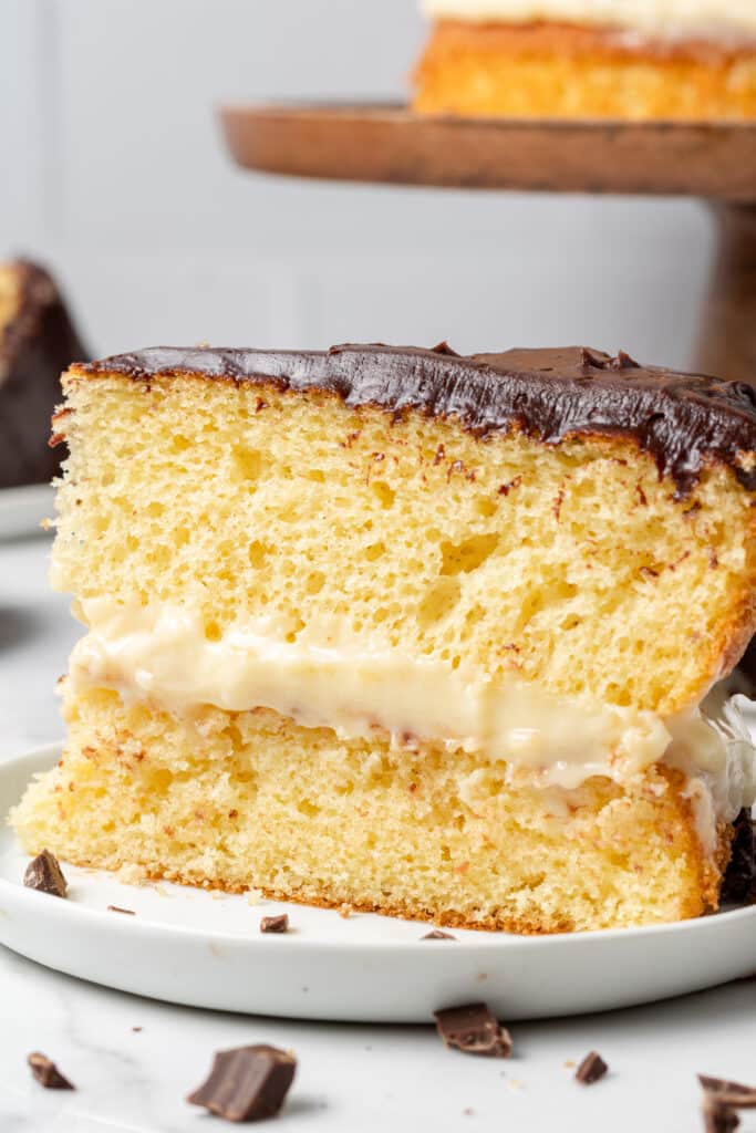 finished slice of cake on white plate 