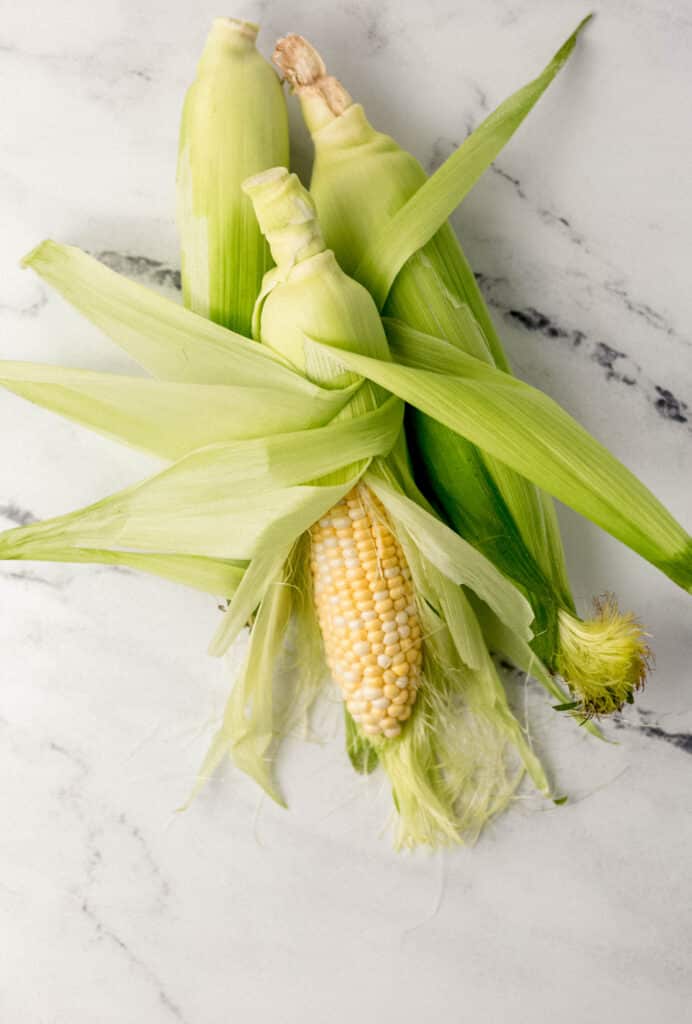 fresh sweet corn on marble surface 