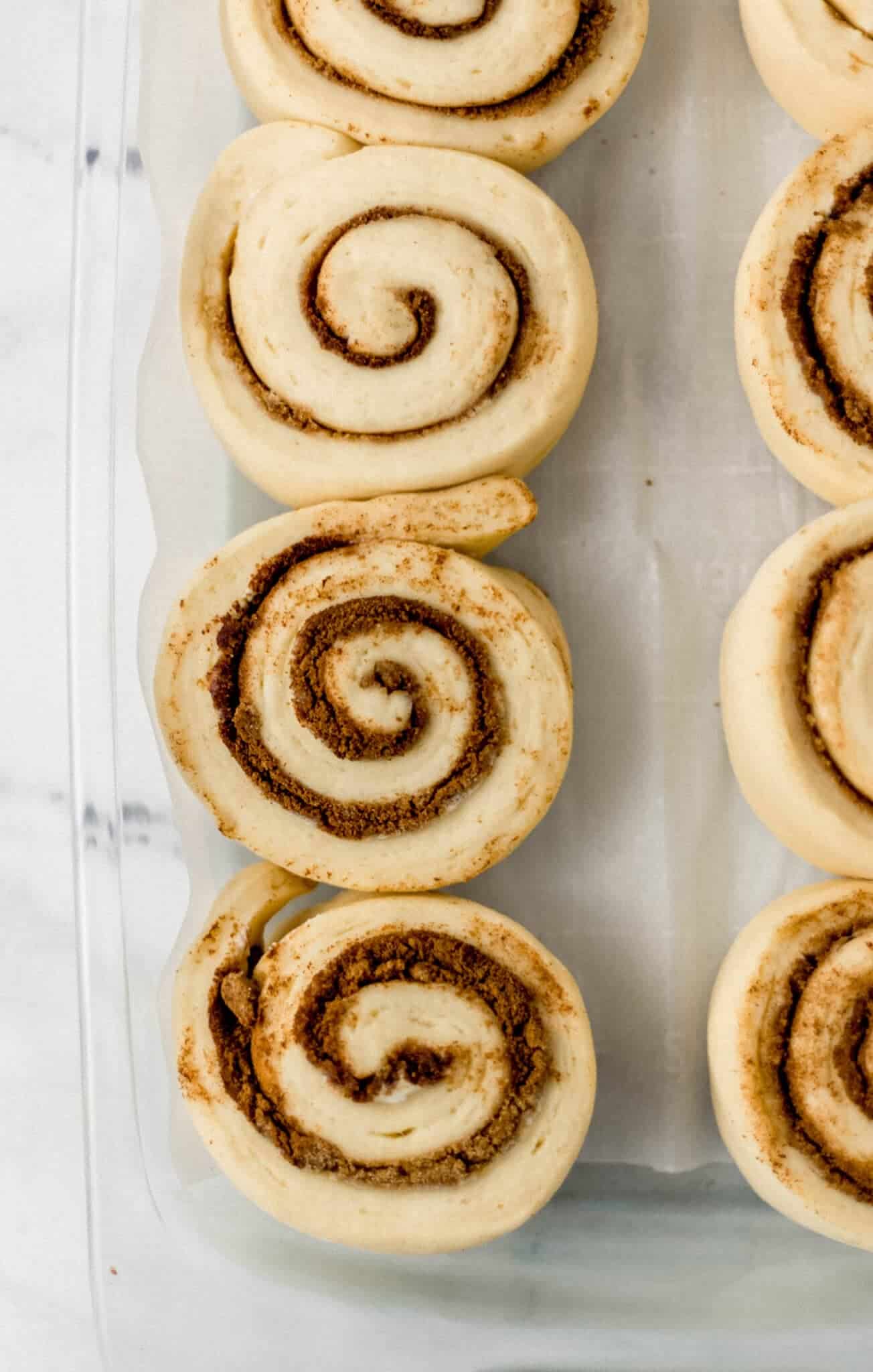 cut rolls in parchment lined glass baking dish after rising