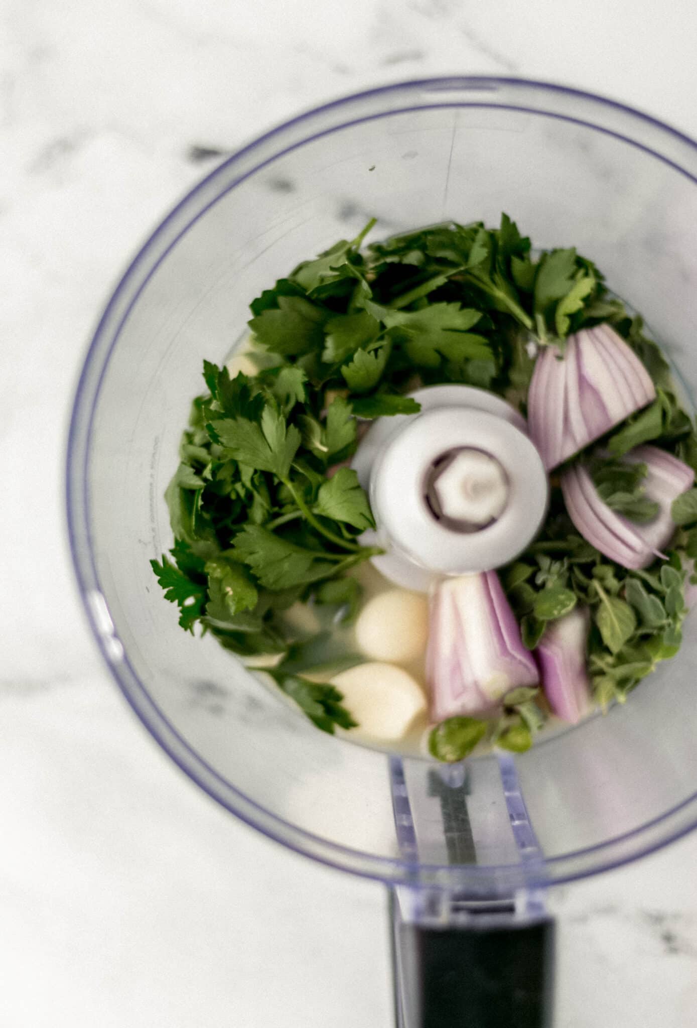 ingredients in food processor to make sauce 