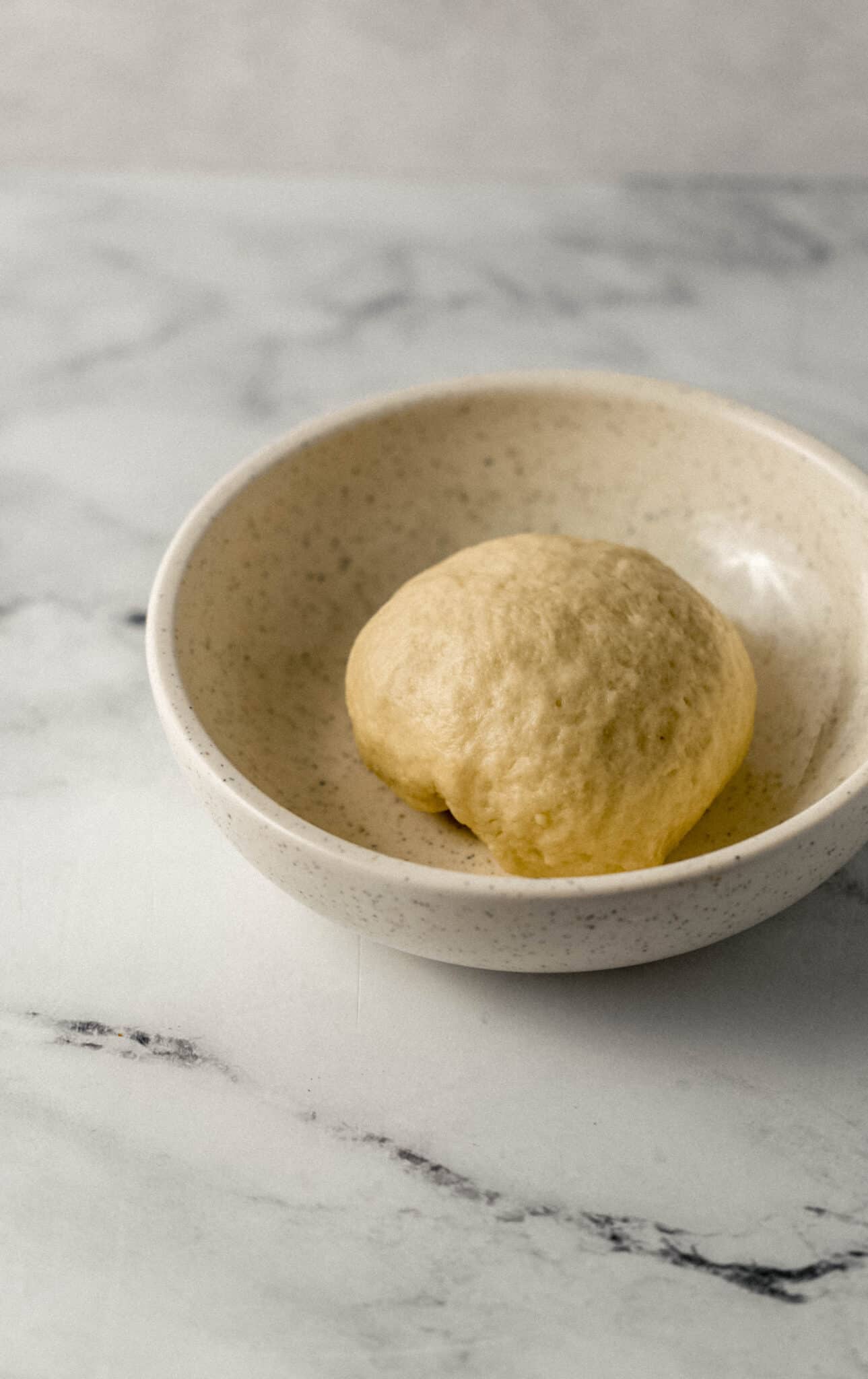 dough ball in mixing bowl before rising