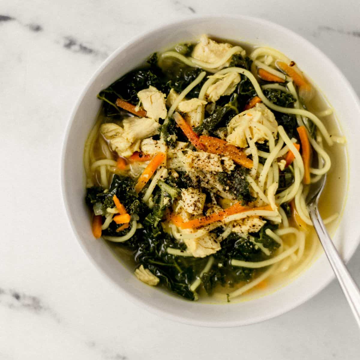 One-Pot-Chicken-Noodle-Soup-
