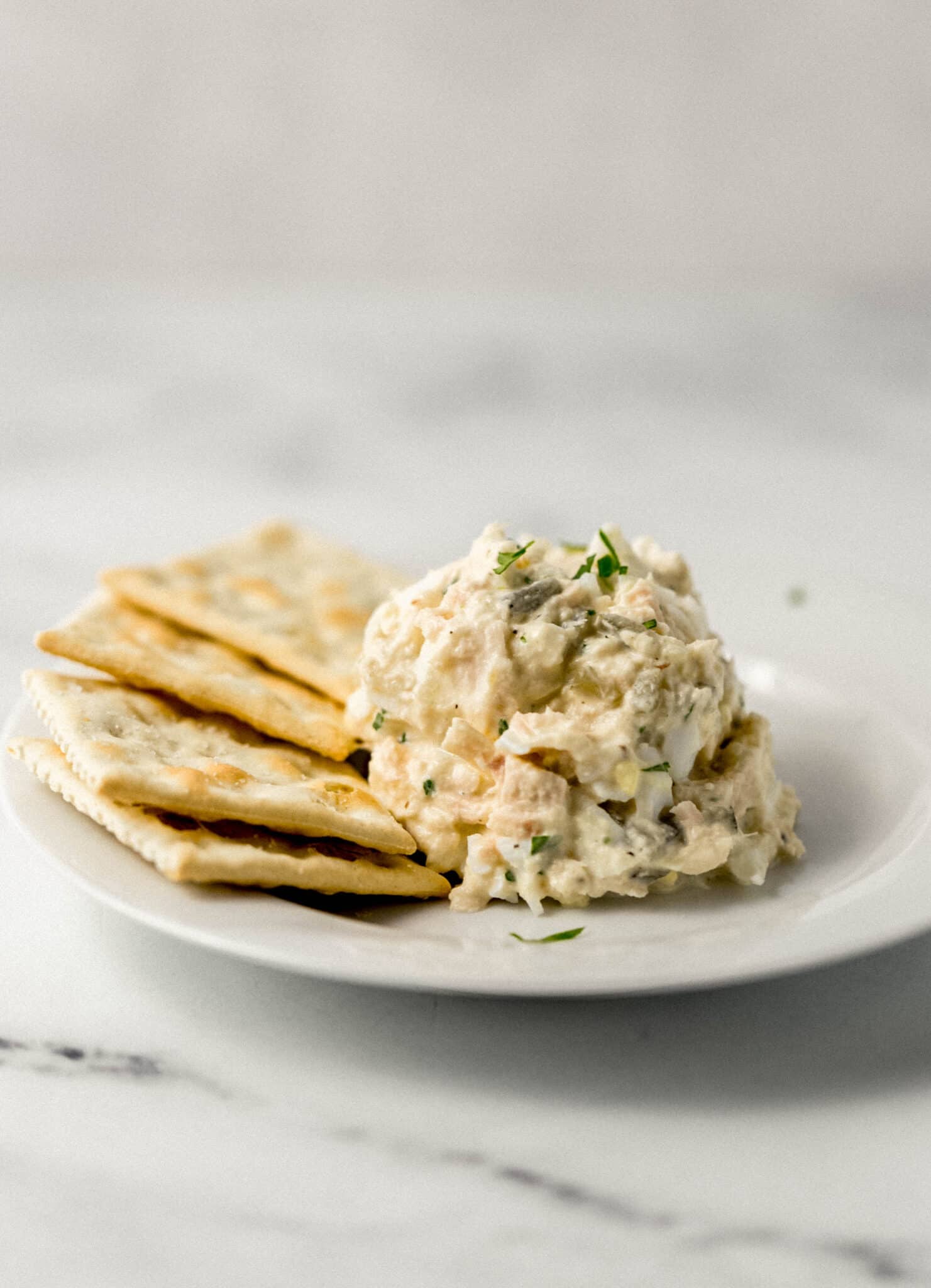 close up side view of serving of tuna salad on small white plate with saltine crackers