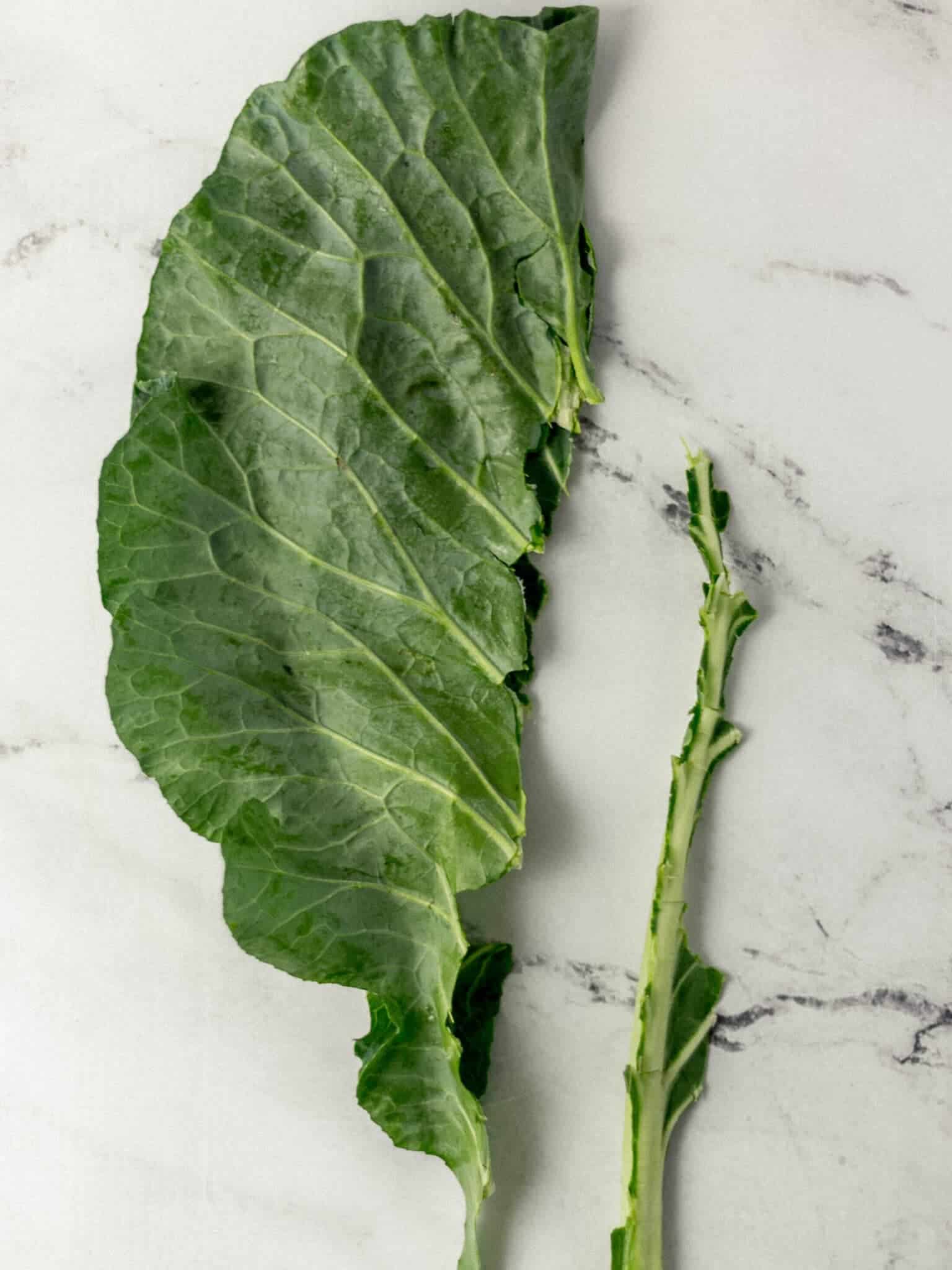 collard leaf folded in half with stem removed 