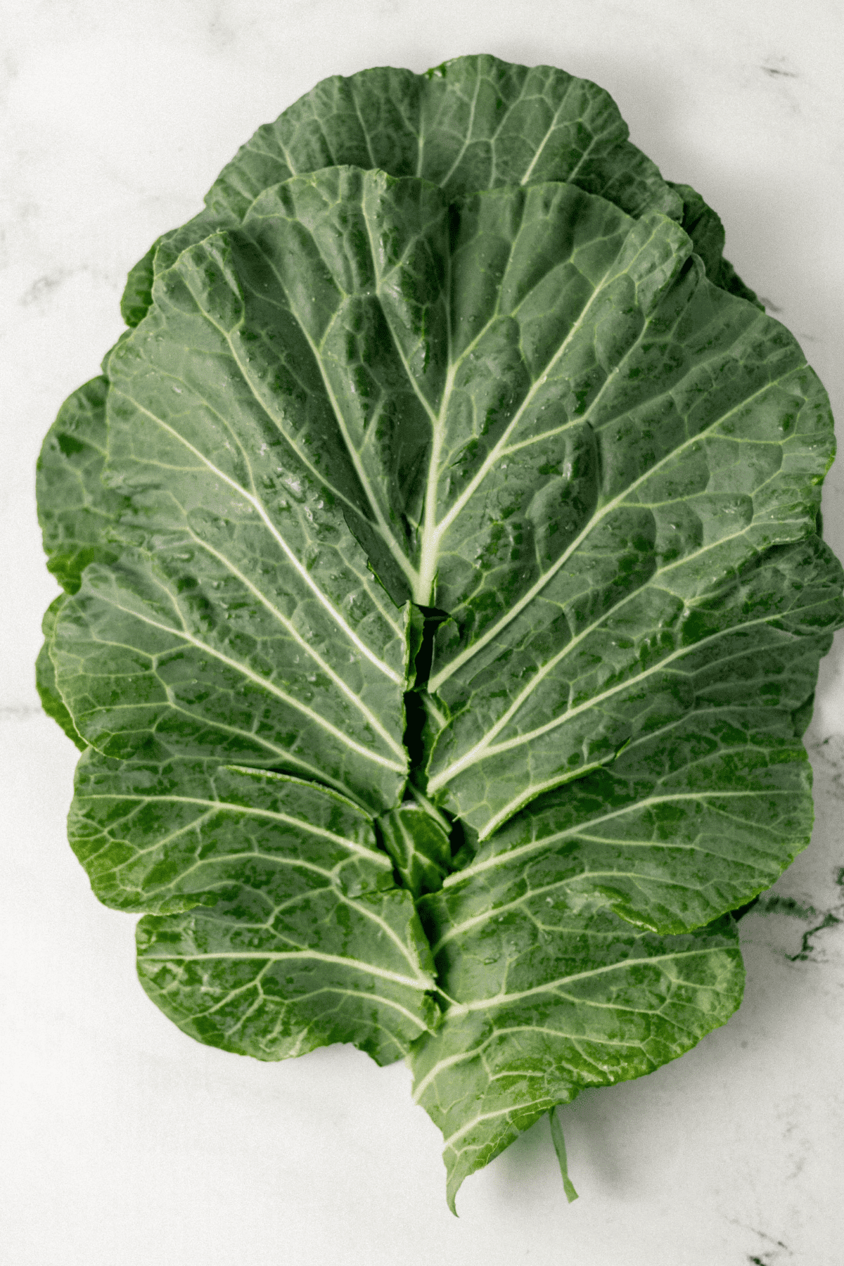 collard green leaf with stem fully removed and stacked with others