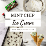 process pin to make mint chocolate chip ice cream