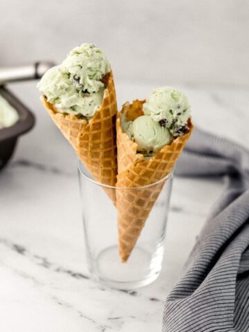 cropped-Homemade-Mint-Chocolate-Chip-Ice-Cream-Simply-LaKita-28.jpg