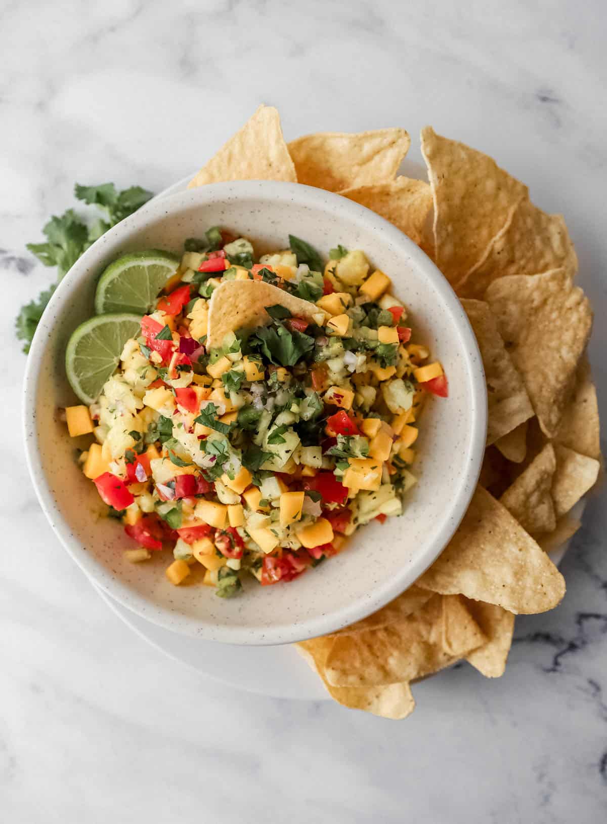 bowl of salsa on plate with tortilla chips 