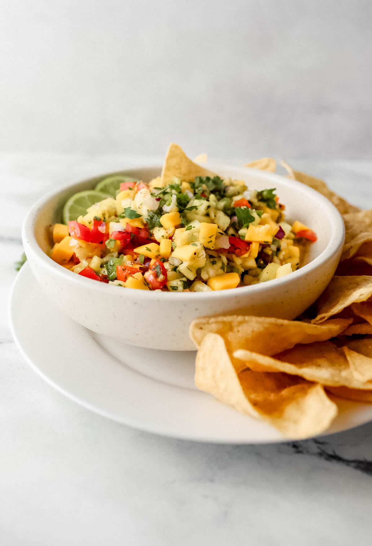 close up side view of salsa in white bowl on top of white plate with tortilla chips 