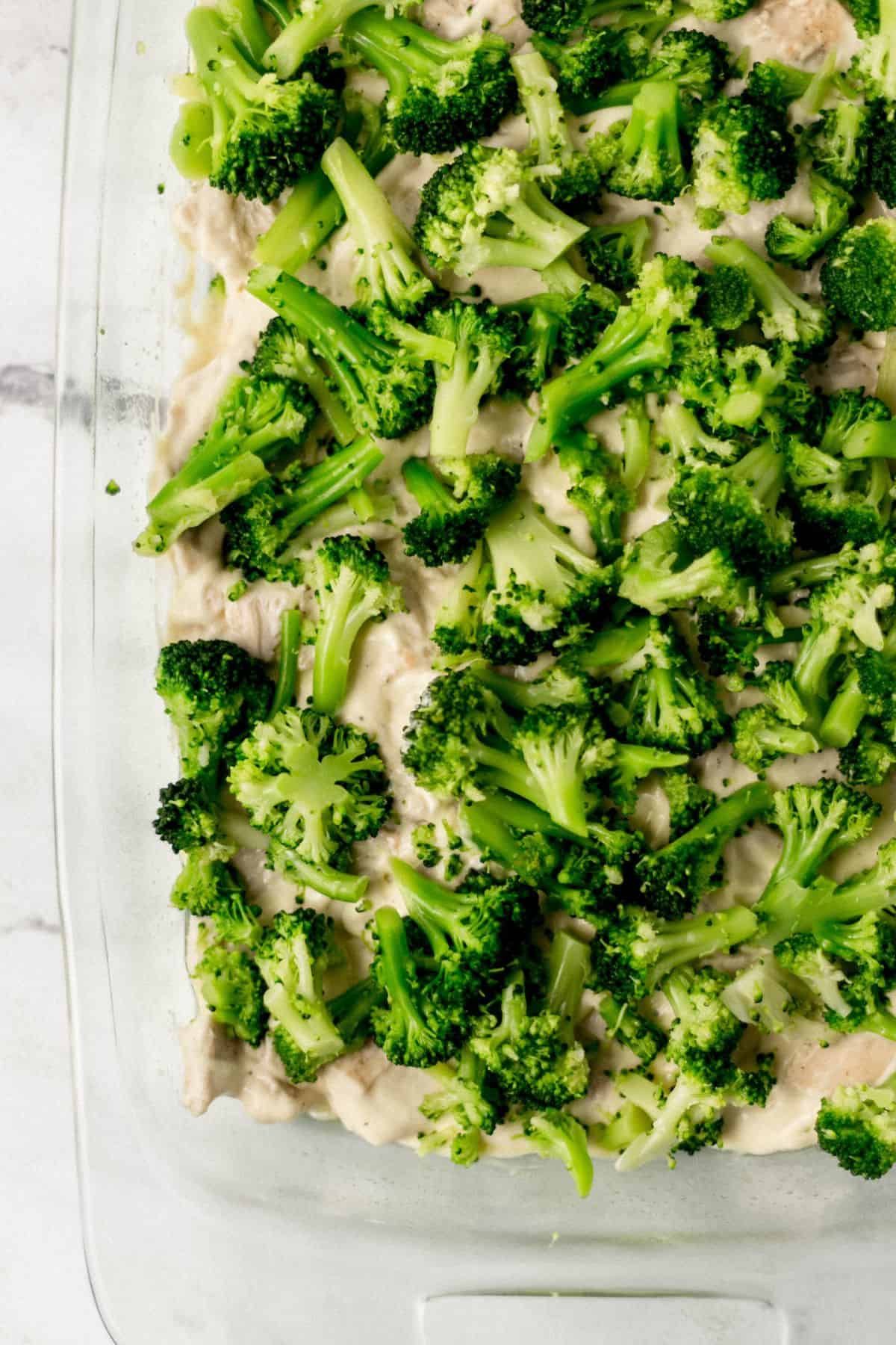 broccoli added to chicken mixture in glass casserole dish 