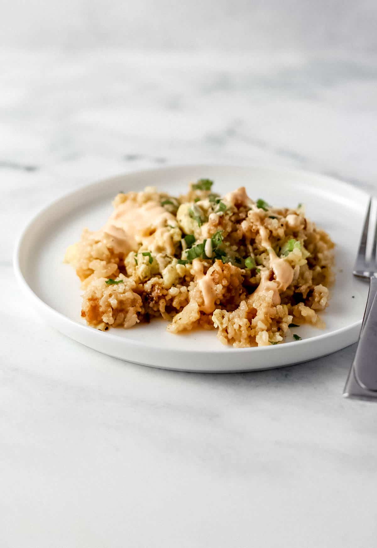 Close up side view of white plate of fried rice topped with sauce and a fork on it.