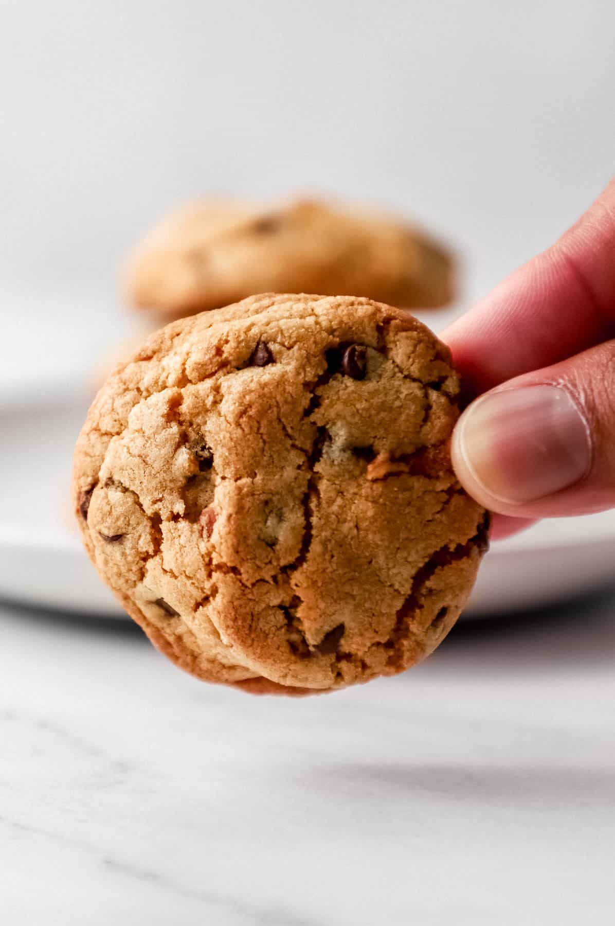 Hand holding a cookie with more on a plate in the background. 