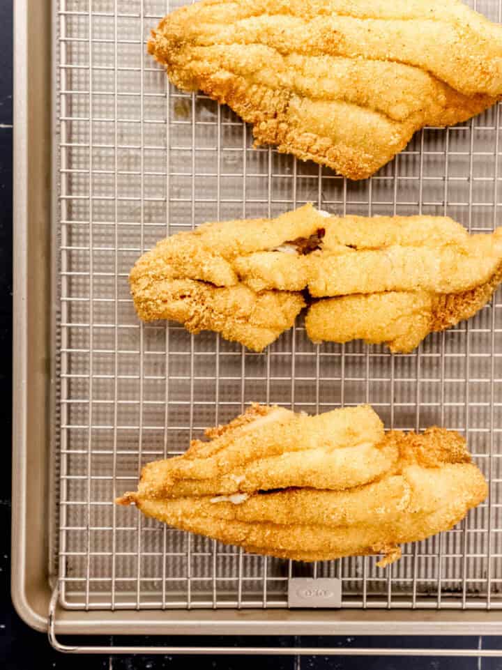 Southern Fried Catfish Recipe