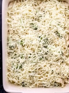 Casserole assembled in baking dish before baking.