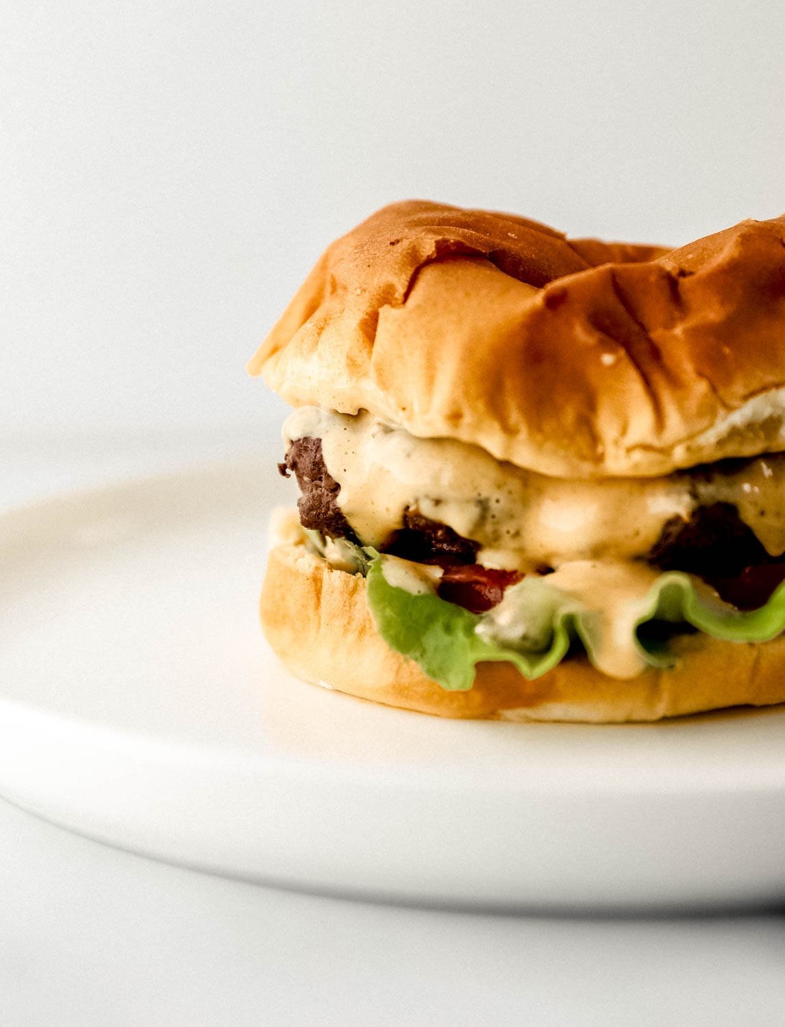 Close up side view of hamburger with sauce on it. 